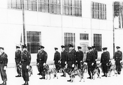 42nd Quartermaster War Dog Platoon